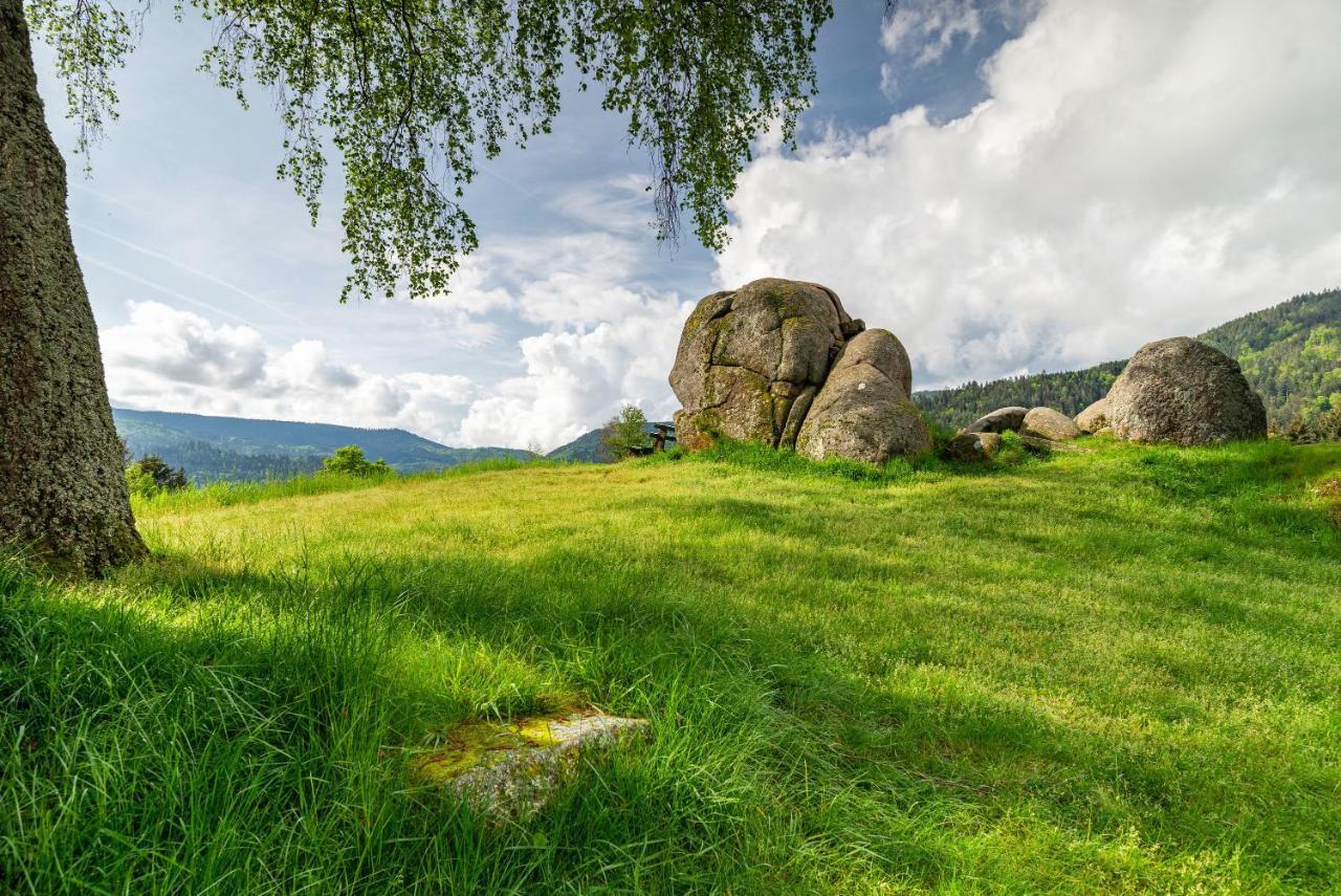 Appartement Bergblick à Forbach Extérieur photo